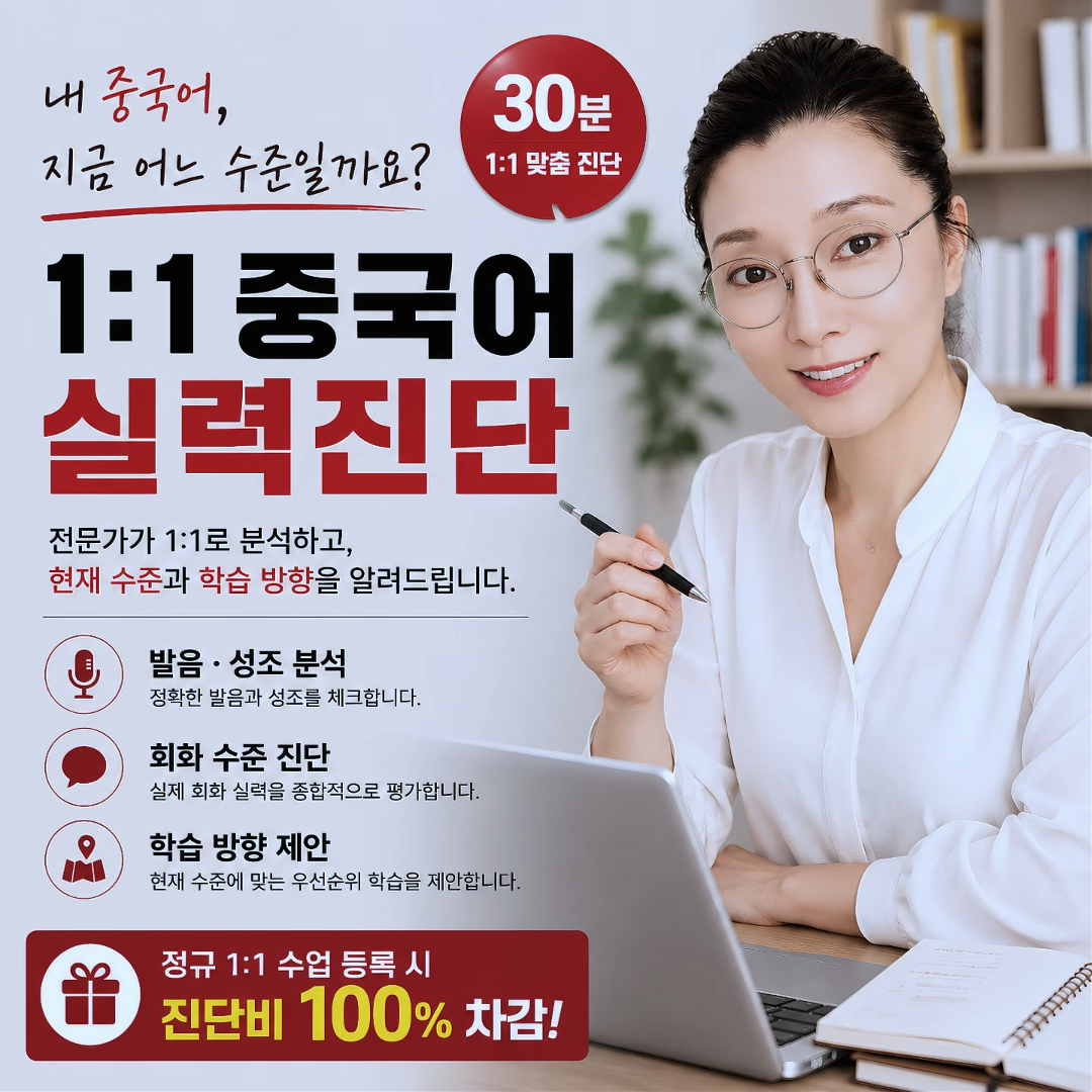 1:1 중국어 실력진단 (30분)